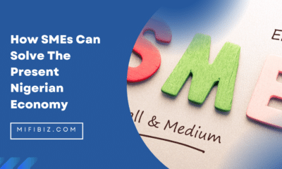 How SMEs Can Solve The Present Nigerian Economy